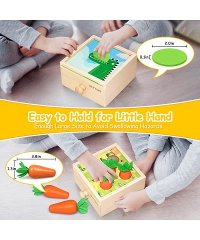 4-in-1 Montessori Toys for 1 2 3 Year Old Baby Boy Girl Ball Drop Toy Carrot Harvest Game Color Matching Magnetic Fishing Mon...