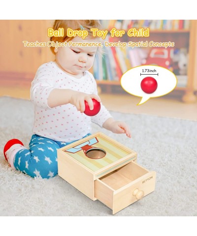 4-in-1 Montessori Toys for 1 2 3 Year Old Baby Boy Girl Ball Drop Toy Carrot Harvest Game Color Matching Magnetic Fishing Mon...