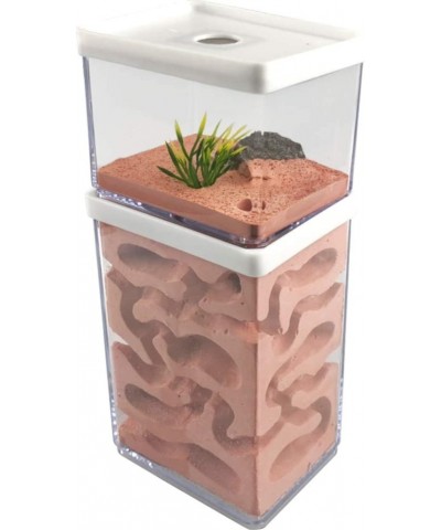 Ant Farm Box Ant Home for Kids Study of Ant Behavior Ant Nest Farm Educational Formicarium for Ant $67.14 Educational Science...