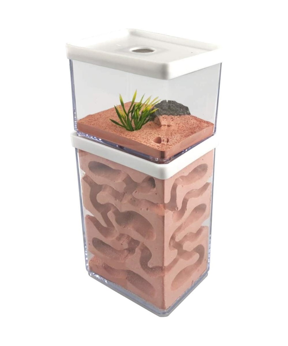 Ant Farm Box Ant Home for Kids Study of Ant Behavior Ant Nest Farm Educational Formicarium for Ant $67.14 Educational Science...