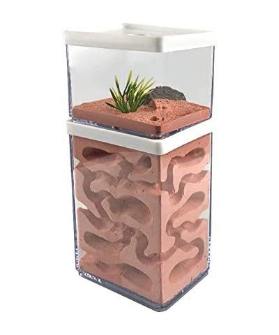 Ant Farm Box Ant Home for Kids Study of Ant Behavior Ant Nest Farm Educational Formicarium for Ant $67.14 Educational Science...