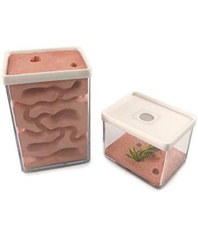 Ant Farm Box Ant Home for Kids Study of Ant Behavior Ant Nest Farm Educational Formicarium for Ant $67.14 Educational Science...