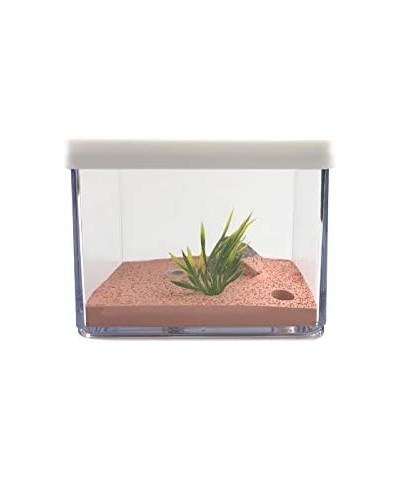 Ant Farm Box Ant Home for Kids Study of Ant Behavior Ant Nest Farm Educational Formicarium for Ant $67.14 Educational Science...