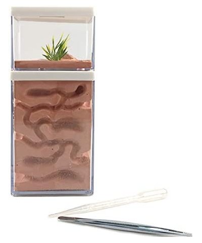 Ant Farm Box Ant Home for Kids Study of Ant Behavior Ant Nest Farm Educational Formicarium for Ant $67.14 Educational Science...