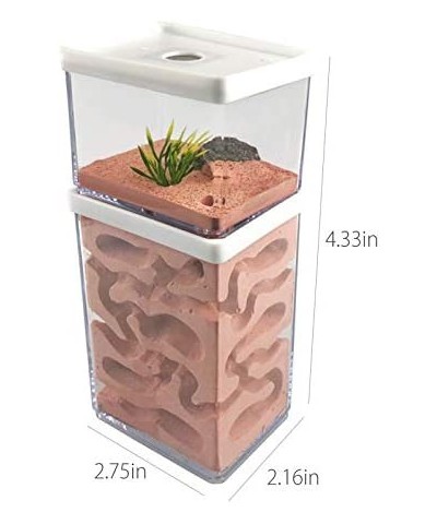 Ant Farm Box Ant Home for Kids Study of Ant Behavior Ant Nest Farm Educational Formicarium for Ant $67.14 Educational Science...