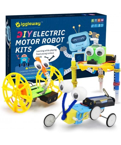 Electric Motor Robotic Science Kits DIY STEM Toys for kids Building Science Experiment Kits for Boys and Girls-Doodling Balan...