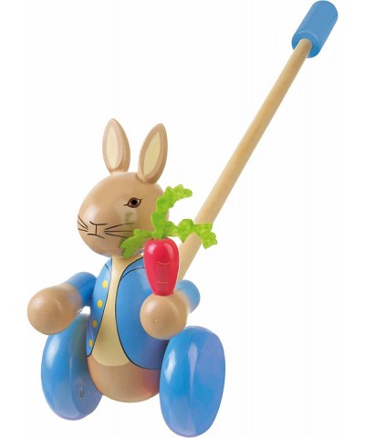 Peter Rabbit Push Along $33.85 Early Development & Activity Toys