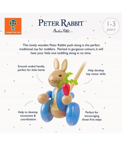 Peter Rabbit Push Along $33.85 Early Development & Activity Toys