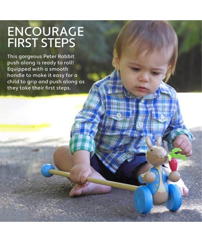 Peter Rabbit Push Along $33.85 Early Development & Activity Toys