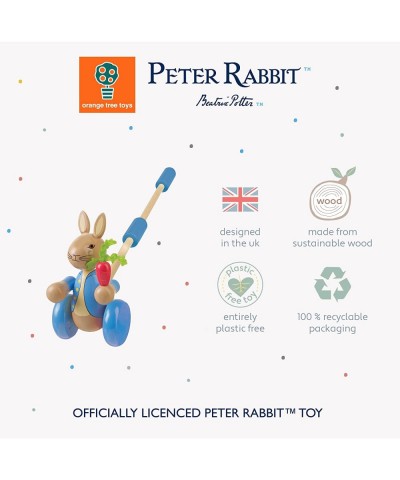 Peter Rabbit Push Along $33.85 Early Development & Activity Toys