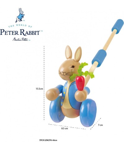 Peter Rabbit Push Along $33.85 Early Development & Activity Toys