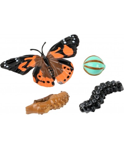 Giant Butterfly Garden with Voucher Green/White $44.56 Habitat Science Kits