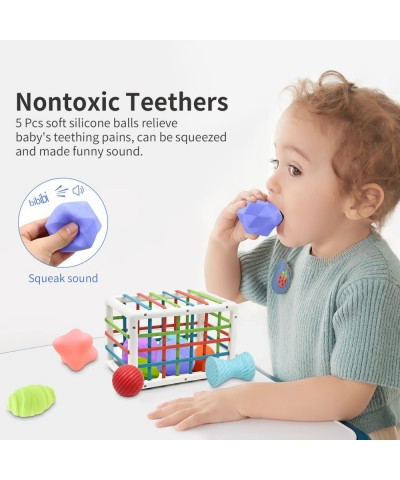 Montessori Baby Toys for 1 Year Old Boy Girl Gifts Shape Sorter Baby Toys 6 12 18 Months Early Learning Sensory Bin with 5 So...