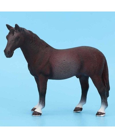 Simulation Solid Horse Model Farm World Horses Collectors Horse Figurines Toy Set Realistic Detailed Plastic Pony Figures Foa...