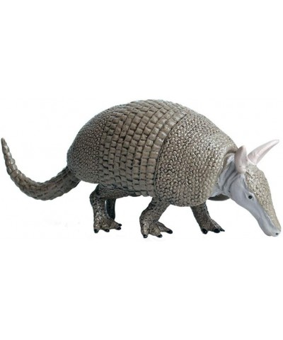 Realistic Animal Figures Armadillo Figurines Science Project Cake Topper Early Educational Toys Birthday for Toddlers Kids Ag...