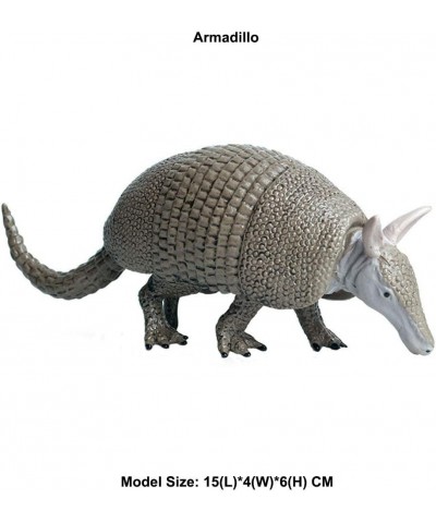 Realistic Animal Figures Armadillo Figurines Science Project Cake Topper Early Educational Toys Birthday for Toddlers Kids Ag...