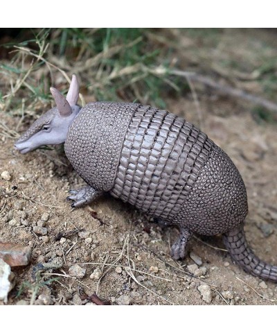 Realistic Animal Figures Armadillo Figurines Science Project Cake Topper Early Educational Toys Birthday for Toddlers Kids Ag...