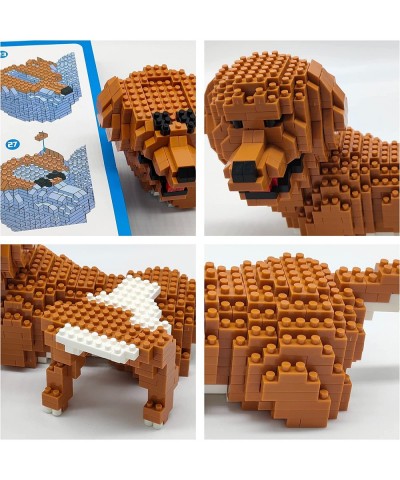 3D Dog Puzzle Building Blocks Building Pet Toys and Displayable Model for Kids and Adults 824 Pieces (Chinook) $27.65 3-D Puz...