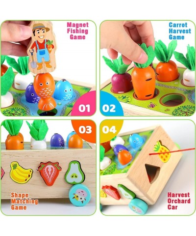 Wooden Montessori Toys for 1 2 Year Old Baby Boys Girls Shape Sorting Farm Fruit Blocks Learning Toys Age 2-4 Carrot Harvest ...