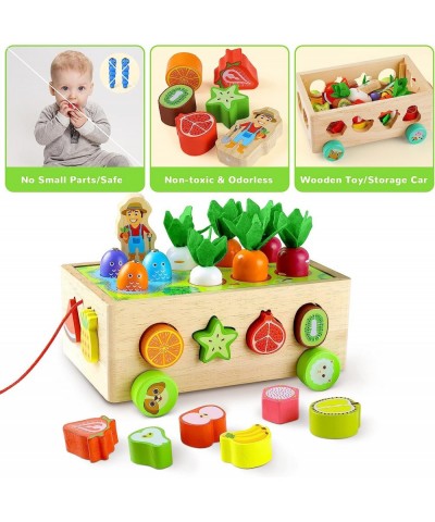 Wooden Montessori Toys for 1 2 Year Old Baby Boys Girls Shape Sorting Farm Fruit Blocks Learning Toys Age 2-4 Carrot Harvest ...