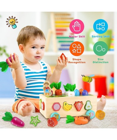 Wooden Montessori Toys for 1 2 Year Old Baby Boys Girls Shape Sorting Farm Fruit Blocks Learning Toys Age 2-4 Carrot Harvest ...