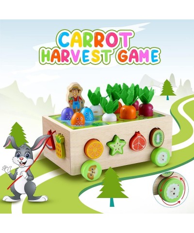 Wooden Montessori Toys for 1 2 Year Old Baby Boys Girls Shape Sorting Farm Fruit Blocks Learning Toys Age 2-4 Carrot Harvest ...