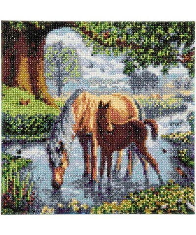 Fell Ponies 30x30cm Framed Kit $54.50 Craft Kits