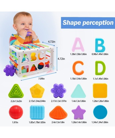 Baby Toys for 12-18 Months Montessori Toys Upgrade Sensory Baby Shape Sorter 6-12 Months Toys Fine Motor Skill Early Learning...