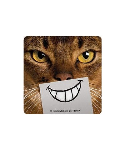 Dental Cat Smiles Stickers - Prizes and Giveaways - 100 per Pack $26.34 Kids' Stickers