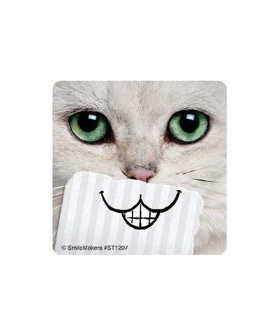 Dental Cat Smiles Stickers - Prizes and Giveaways - 100 per Pack $26.34 Kids' Stickers