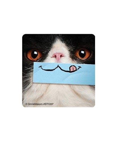 Dental Cat Smiles Stickers - Prizes and Giveaways - 100 per Pack $26.34 Kids' Stickers