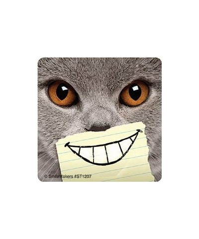 Dental Cat Smiles Stickers - Prizes and Giveaways - 100 per Pack $26.34 Kids' Stickers